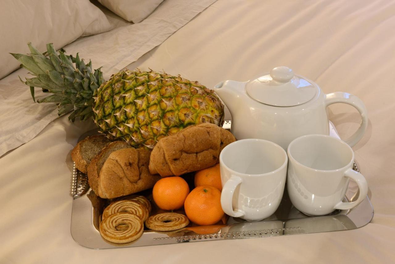 Hortus Conclusus + Free Parking Apartment Siena Ngoại thất bức ảnh